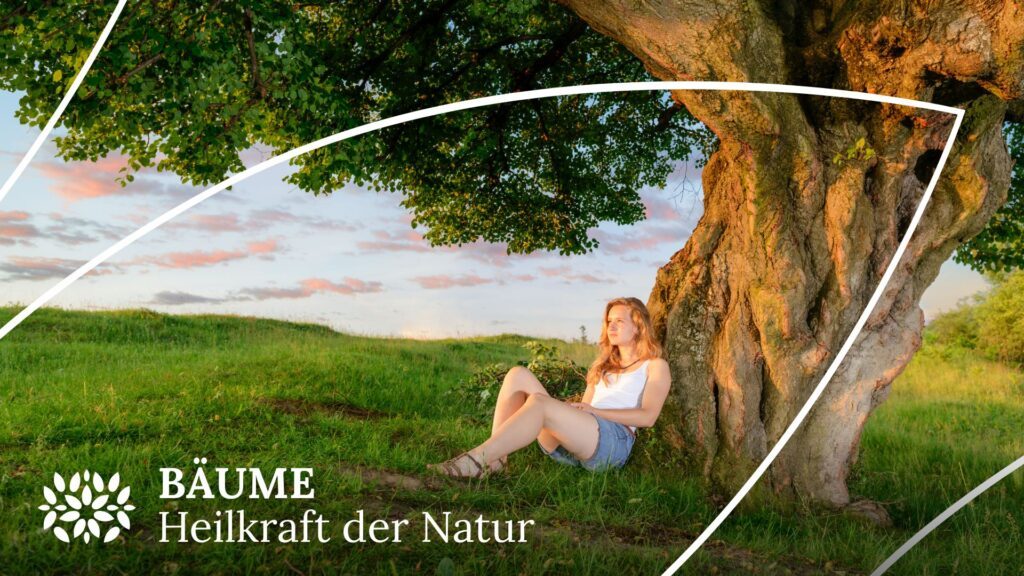 Bäume_Heilkraft der Natur