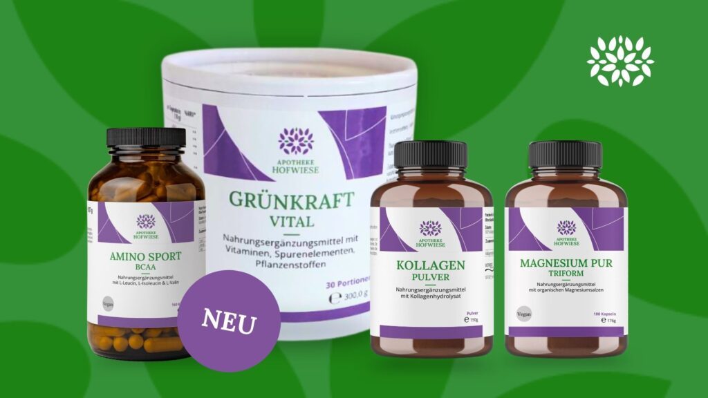 NEU_Sommer Fit Paket